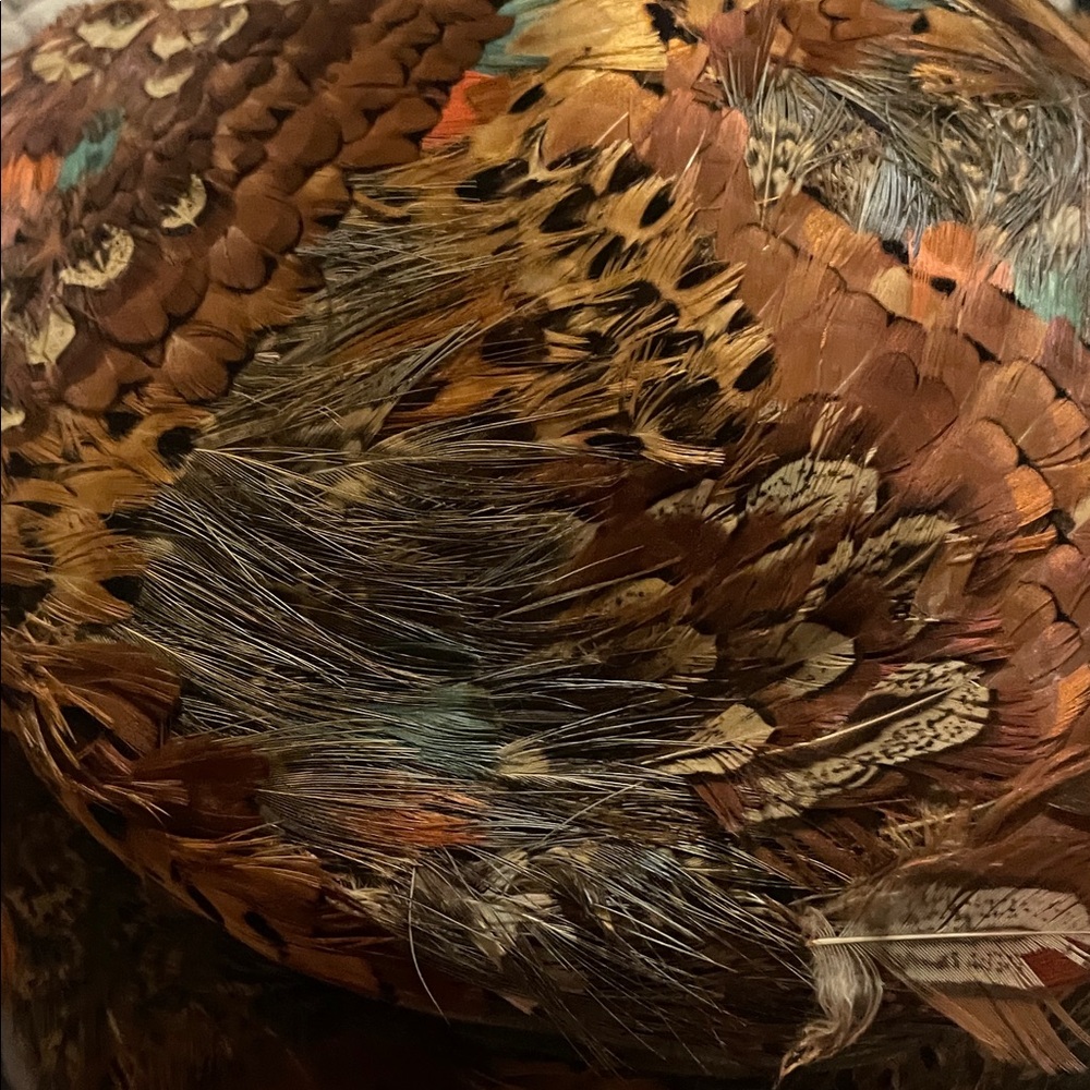 Feather Hat - Picture 4 of 15